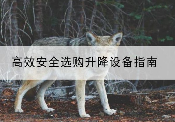 八步升降货梯厂家推荐-*安全选购升降设备指南