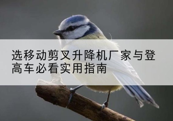八步电动升降机厂家-选移动剪叉升降机厂家与登高车必看实用指南