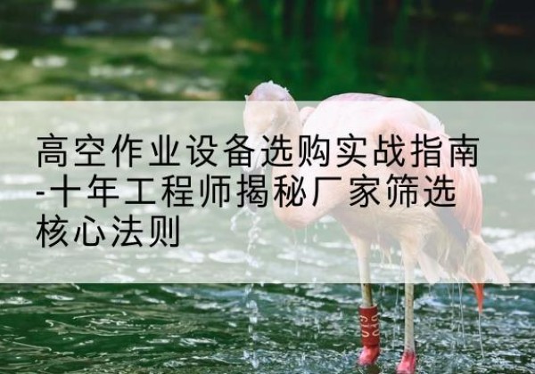 八步剪叉式升降机厂家-高空作业设备选购实战指南-十年工程师揭秘厂家筛选核心法则